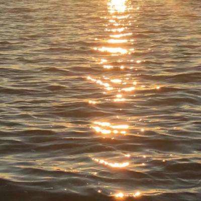 半岛官方APP入口